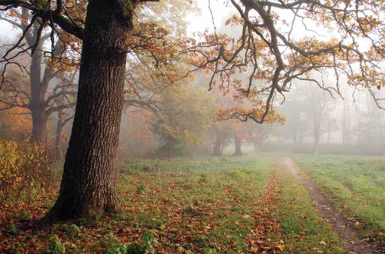 Üks park, mitu nime