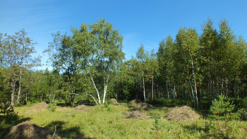 Keila pargid, Niitvälja soo, Keila roheline pärand